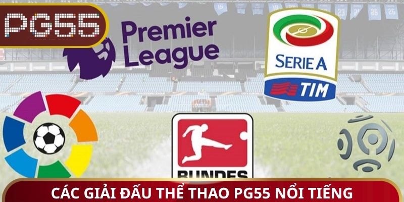 Các giải đấu thể thao PG55 nổi tiếng
