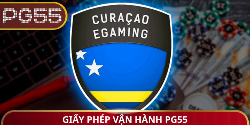 Giấy phép vận hành PG55